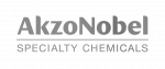 AkzoNobel Specialty Chemicals