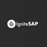 Ignite SAP