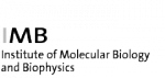 Institute for Molecular Biology and Biophysics